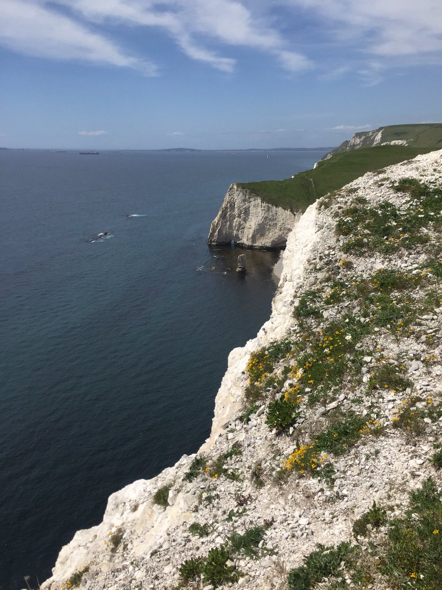 abc2018kd's tweet photo. Few pictures from our training walk.   @sherpakyadv @kingdownschool https://t.co/H0Jrglq0AT