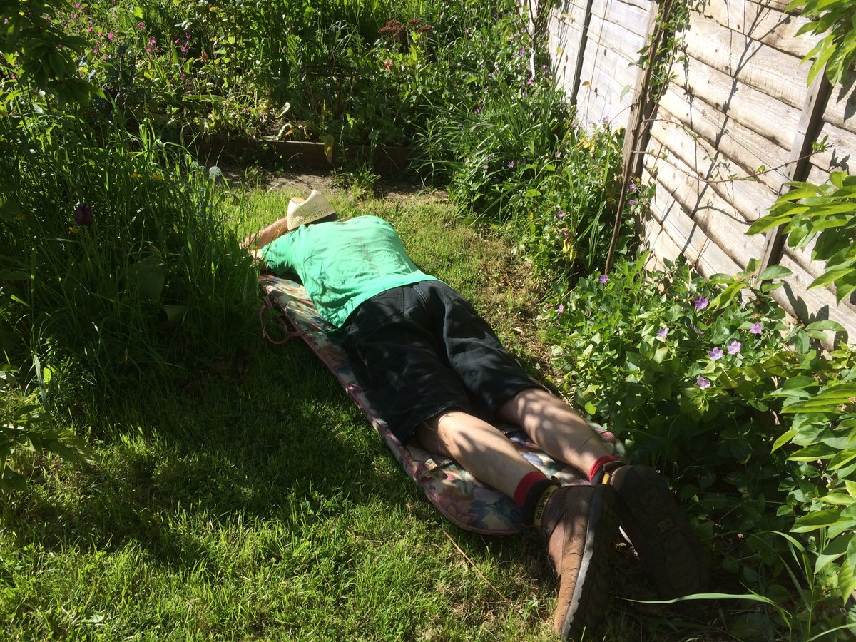 Railholiday tweet media