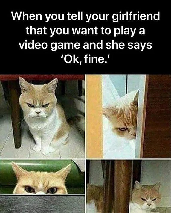 VirtualOracle's tweet photo. Sure, Do what you Want! #Gaming #VideoGames #VirtualOracle https://t.co/TkPpCwLV9j