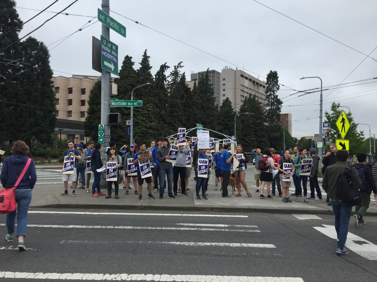 GattaKat's tweet photo. We strike for adequate mental healthcare, trans inclusive health insurance, and a living wage ✊🏻
#UWstrike #ASEsStrikeBack https://t.co/Pxh1Pqy8aw
