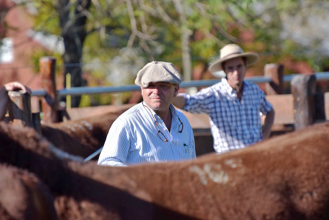 Expo Nacional <a href="/hereforduy/">HEREFORD URUGUAY</a> fue “igual o superior a la del Congreso Mundial”. Lo que se vivió el fin de semana en Paysandú losagronegocios.com.uy/expo-nacional-…