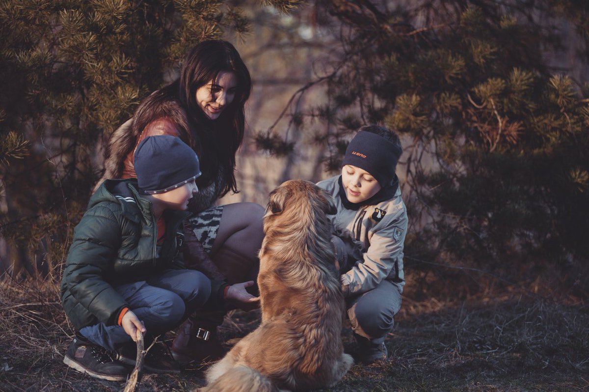 petlas_world's tweet photo. When your pooch truly becomes a member of the #family, it’s likely that you’ll notice some of these things happening 

https://t.co/lGhUkeRgR2 https://t.co/gPsJUm9VDh