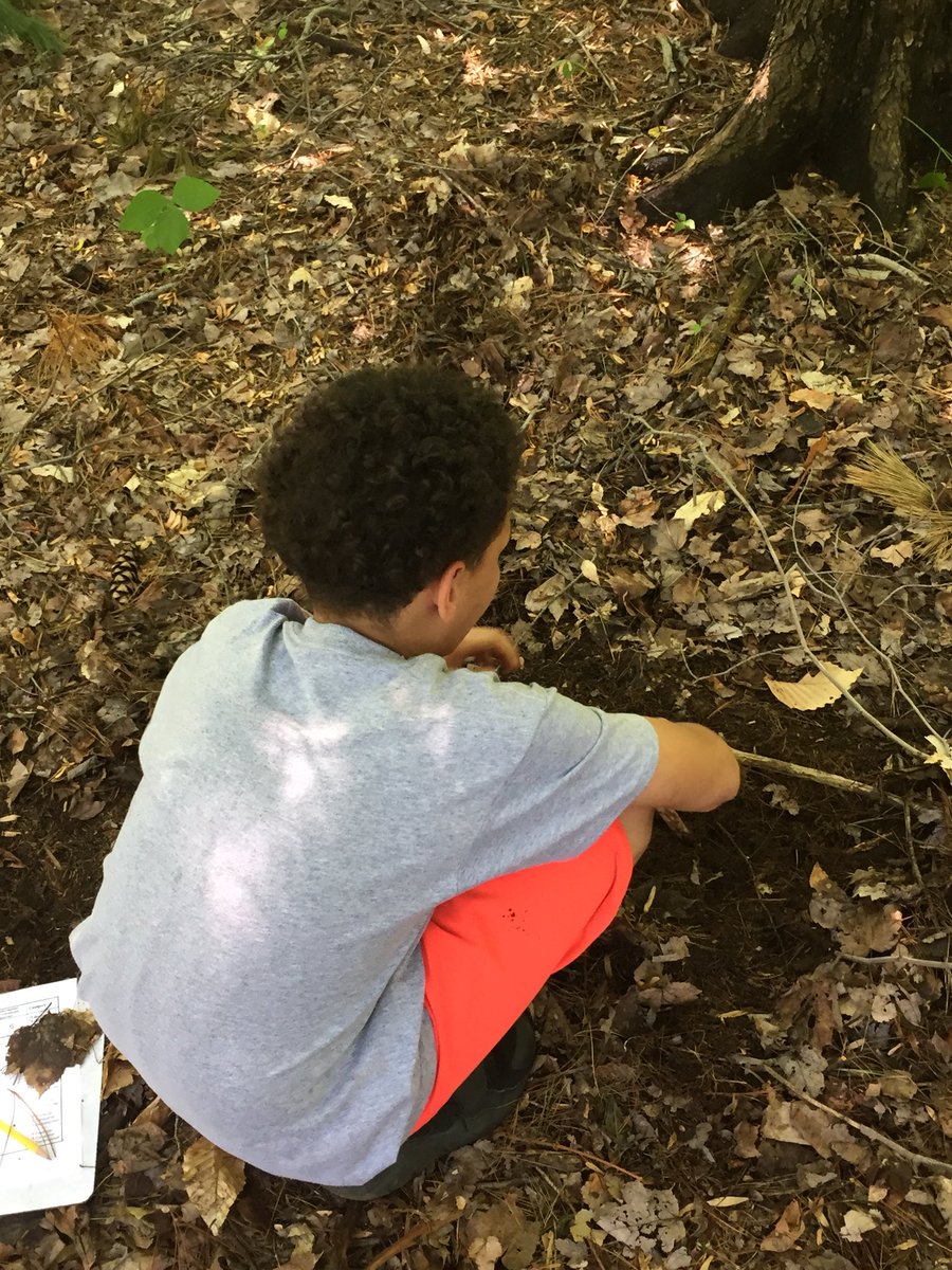 TaylorUESgrade5's tweet photo. Learning about forest ecosystems at Fernbrook Farms. https://t.co/cDKS97bKDg