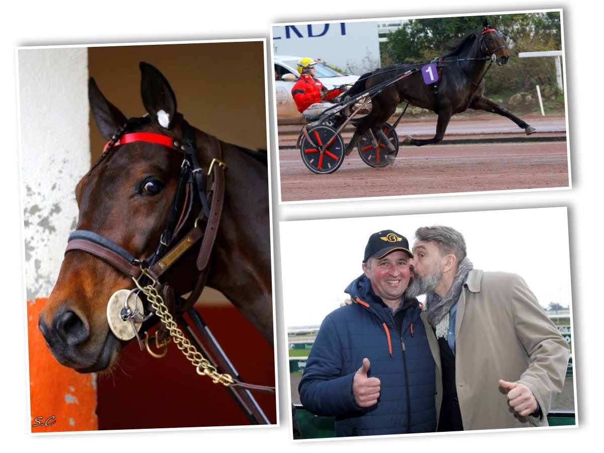 [SCOOP] Devinez qui va driver <a href="/BoldEagle_Trot/">🇫🇷𝙱𝙾𝙻𝙳 𝙴𝙰𝙶𝙻𝙴 ♞</a> ​ en Suède🇸🇪 ?
A la demande de Pierre Pilarki, je serai au sulky pour l'Elitloppet 👉 J-12 ! 
💪💪💪
#TeamGuarato #Elitloppet <a href="/BOLDsupporters/">BoldEagleSupporters</a>