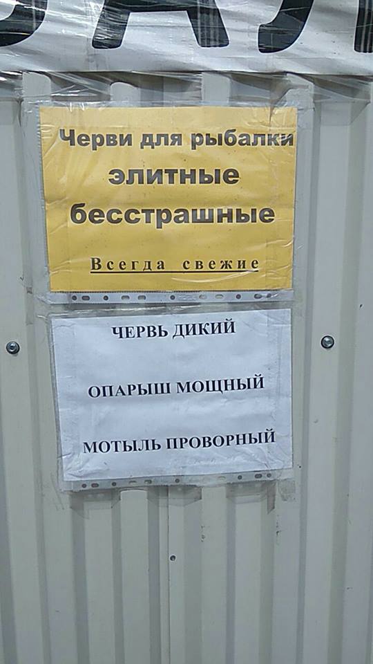 буквально тег ёрселф