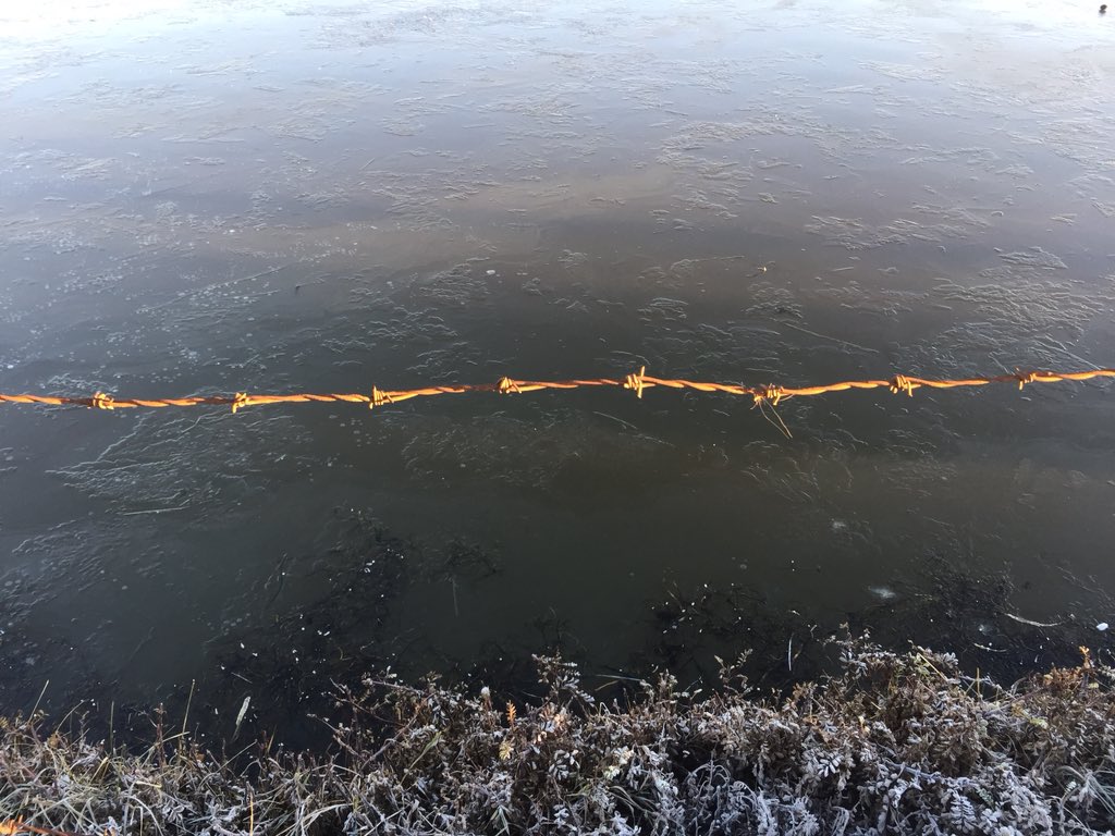 Rutamagallanico's tweet photo. Humedal Tres Puentes en Punta Arenas #chile #puntaarenas #puq #patagonia Síguenos en YouTube "Las Rutas de un Magallanico" Twitter: @Rutamagallanico
#travel #travelblogger #traveltips #trip #tips #photos #fotos #photography #foto #trips #Voyager #viagem #viaje #viajes #travels https://t.co/egBfSM3hSC
