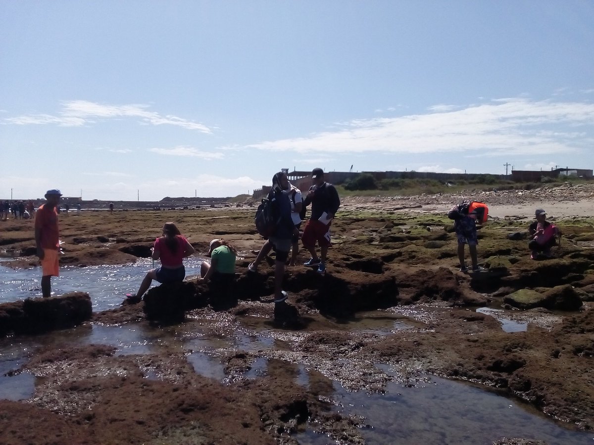 F_NavarreteMier's tweet photo. Undergrade 1st year biology students on it's first sampling practice. #Learninginthefield https://t.co/SWg0WQ7rcP
