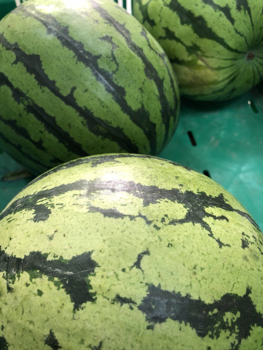 _herboteca's tweet photo. Ya estan aqui las #sandia #eco #bio #organic de la temporada #sevilla #triana #fruta #verdura https://t.co/IFV1zrQ5ER