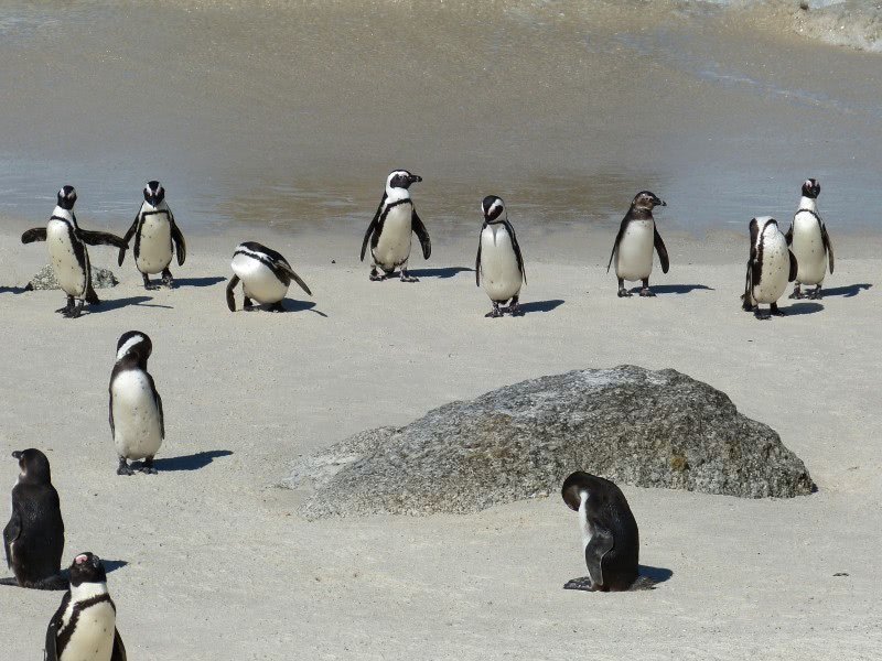 Saregune's tweet photo. ¡Centrate y apóyanos para ser la Mejor Comunidad Tecnológica en los #OpenAwards2018 https://t.co/HCgg0K3VT7 🐧💙🐧 https://t.co/qcMtFi48H0