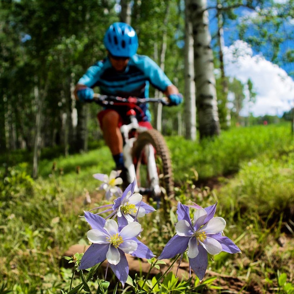 vailvalleyco's tweet photo. Of all the paths you take in life, make sure a few of them are dirt. 🚲 I Photo: mountain_vacations https://t.co/A6vnt890Xf