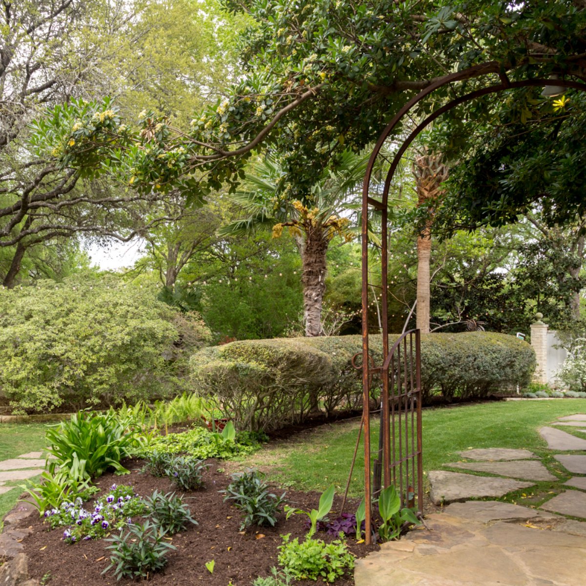 HummingbirdATX's tweet image. Take a step into our secret garden.