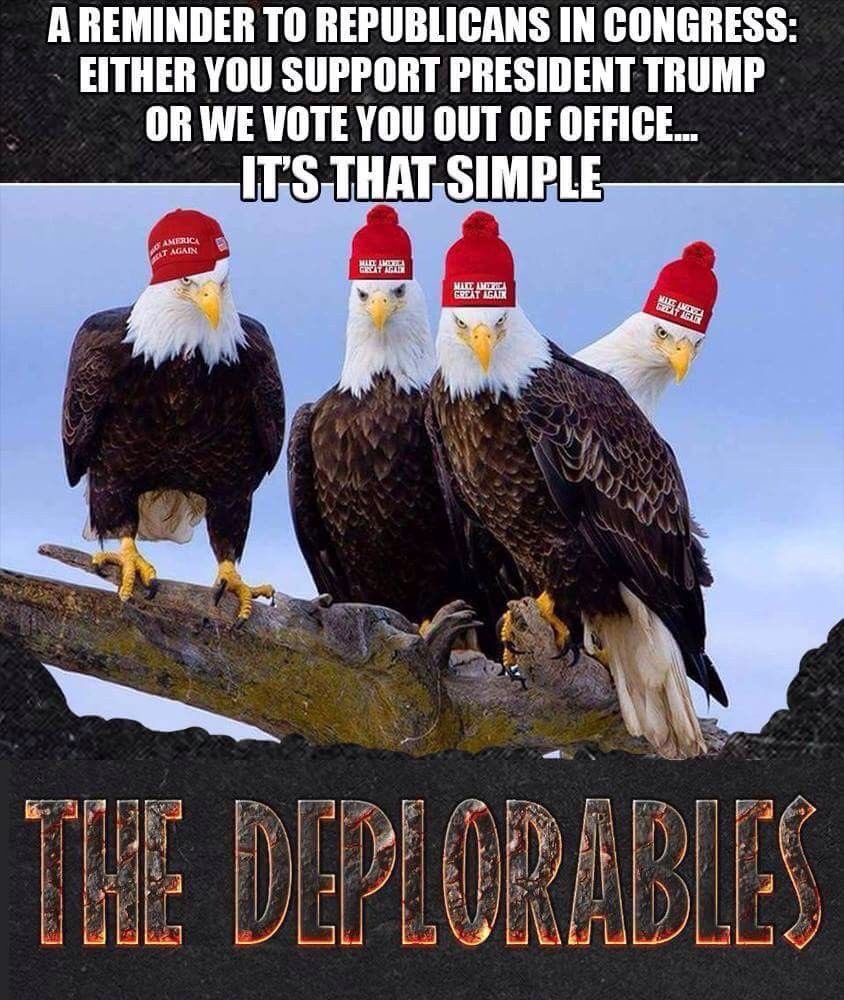 DallasIrey's tweet photo. A reminder to Republicans in Congress. Either you support President Trump or we vote you out of office..... IT’S THAT SIMPLE!
#WeNeedMoreRepublicansIn2018
We need to replace the Democrates and Replace all #FakeRepublicans too
#VoteRed2018
#KAG2020
#Trumpville https://t.co/xv7YcY0HrK