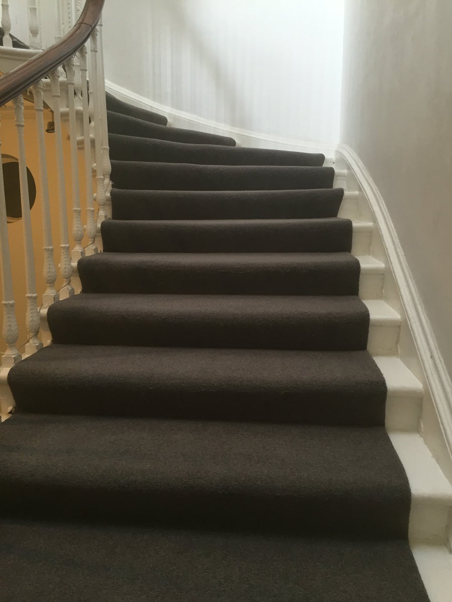 Adam Carpets tweet media