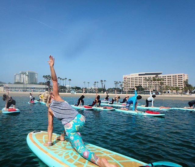 PERFECT PADDLES tweet media