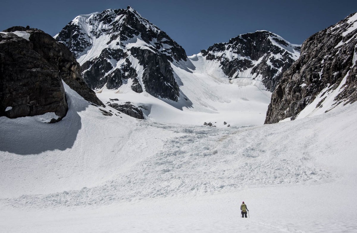 Genuine Guide Gear tweet media