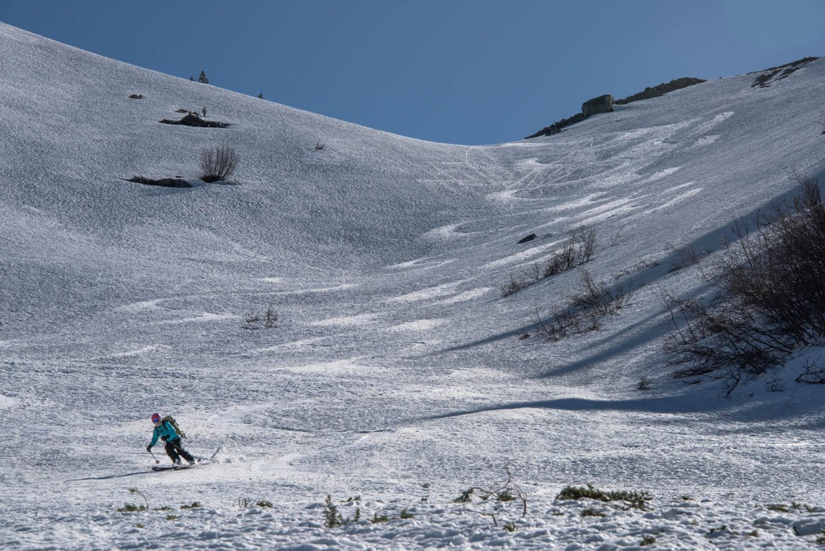 Who else enjoys long walks in beach weather but not on the beach? Pat Mulrooney photos from this past weekend on Birkenhead Mountain.
