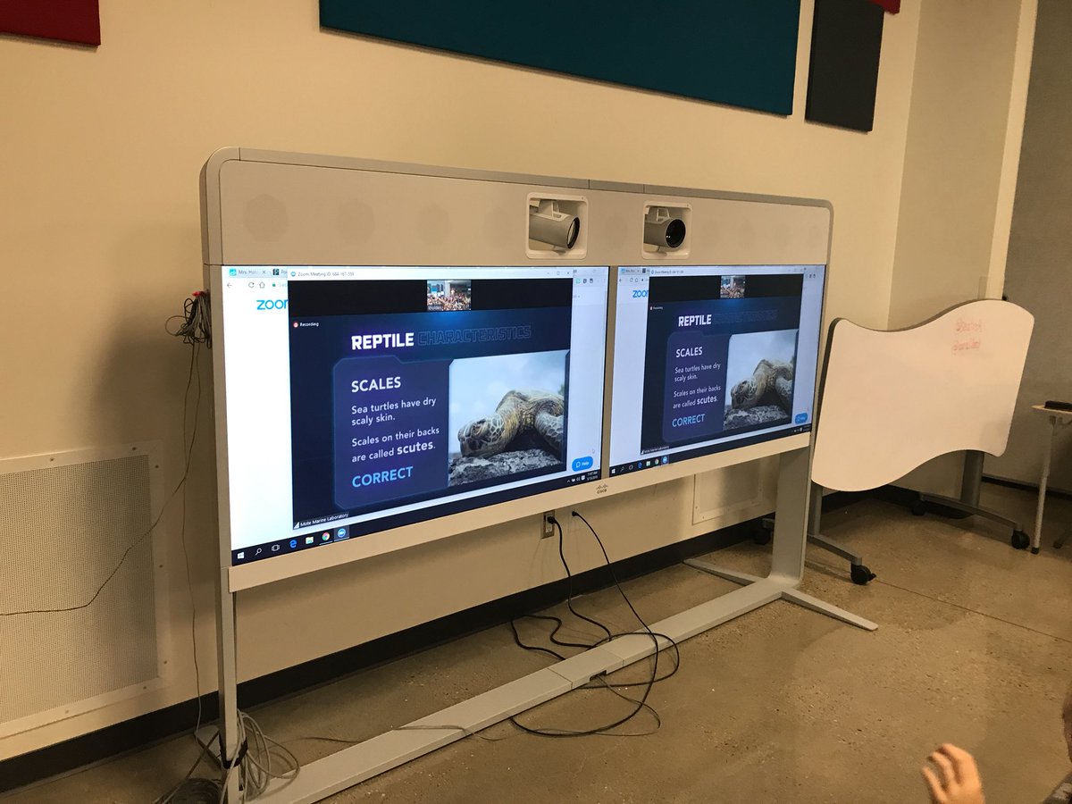 mrcoteclass's tweet photo. Sea Turtle shells are made out of keratin, the same thing our nails are made of! They can lay up to 10 nests and 100 eggs in each for a season. #motemarinelaboratory https://t.co/los4Hf6mjW