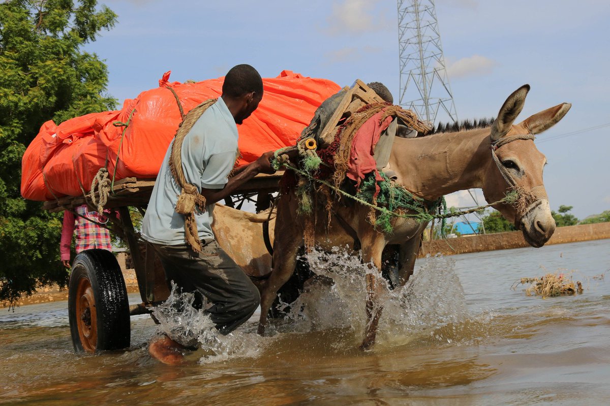 Islamic Relief Worldwide tweet media