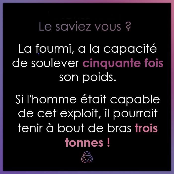 Agence Sapiens tweet media