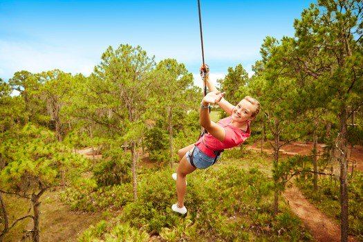 Visit Bradenton Gulf Islands tweet media