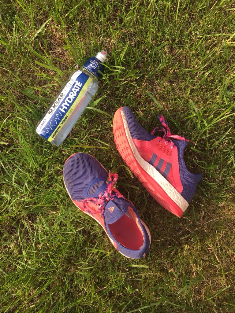 amypalms_'s tweet photo. Workout ready with @adidas #pureboost and @WowHydrate Lemon & Lime #Tryit #HydrateLife 🏃♀️ https://t.co/jlXUQ3v919