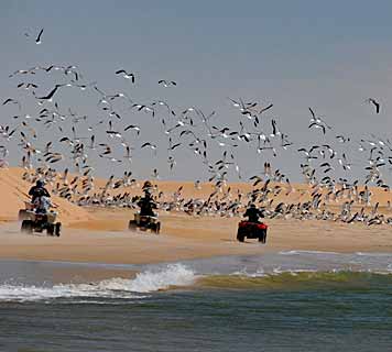 ZouinaCheval's tweet photo. Petit coup de pouce pour Najib qui se lance dans les balades/randos en #quad à #Essaouira : https://t.co/aECTsWXcGE https://t.co/HykzFuT27H