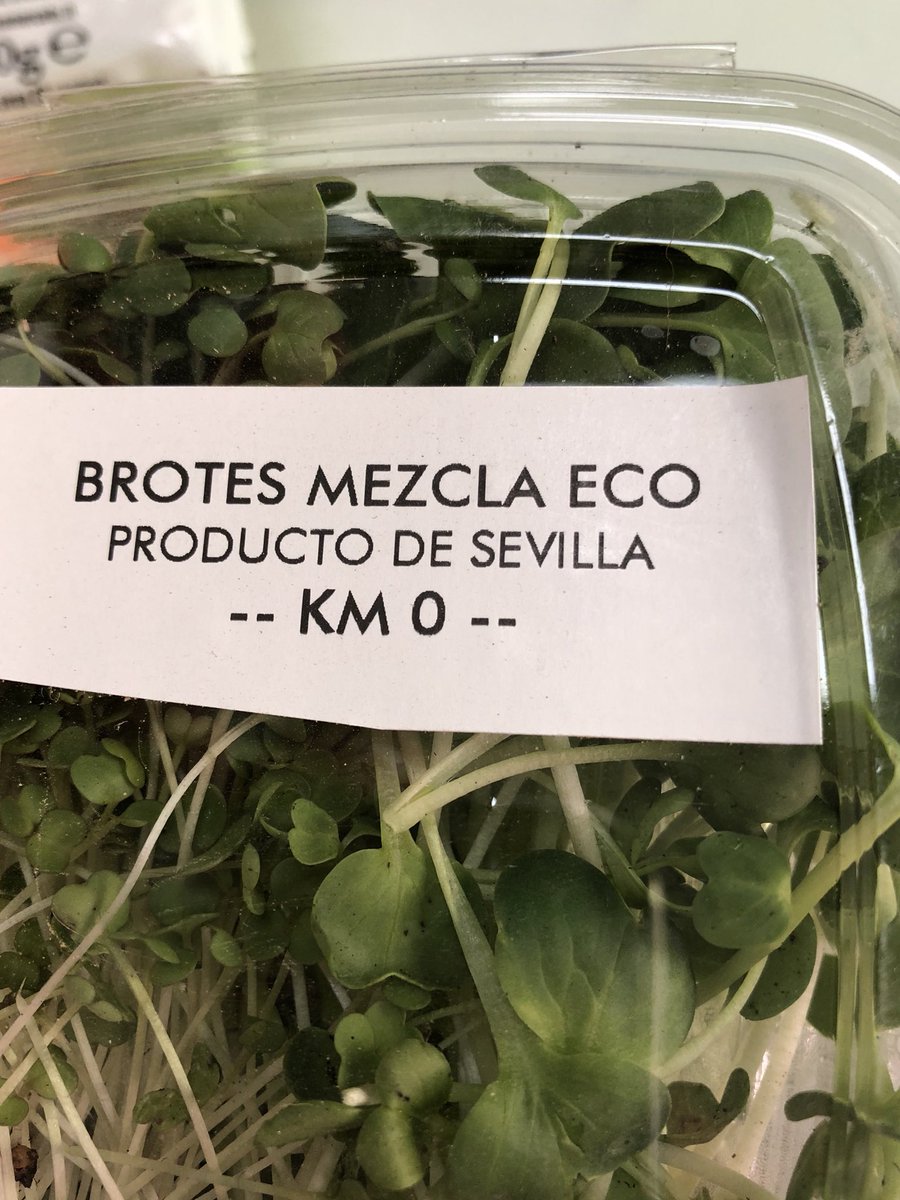 _herboteca's tweet photo. #brotesverdes #brotes #mix #bio #eco #km0 https://t.co/ocJnsenAVJ