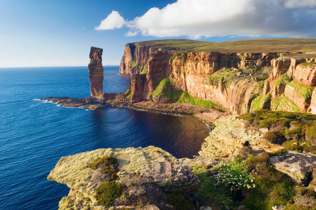 Pledgit's tweet photo. Lyndsey, Hanya and her dog are walking 200 miles of the Scottish coast from 4 June. They’re raising money for  @CureParkinsonsT and the first £700 has been matched! 🏴󠁧󠁢󠁳󠁣󠁴󠁿

https://t.co/lLpvkf1hNV

#charity #charitywalk #fundraising #cureparkinsons #scotland https://t.co/9LX89qinz5