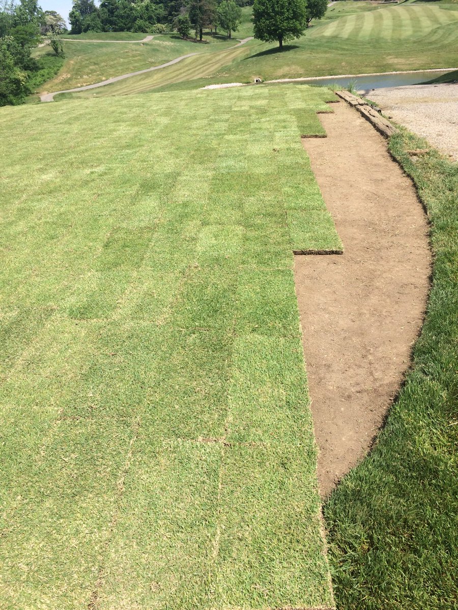 caddeshac's tweet photo. Another quality zoysia tee box brought to you by the #Devoucrew
Sod baby, we grow our own! https://t.co/ofys0I0Unz