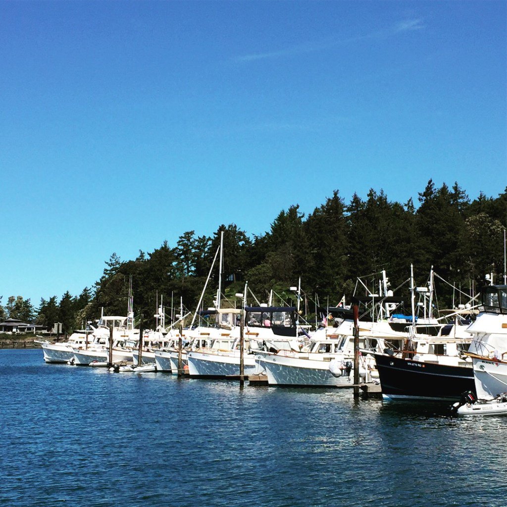 PSGBOA's tweet photo. 2018 Grand Banks Rendezvous – One for the Ages! https://t.co/S4fNNTkaol https://t.co/4KdsbJaOPd
