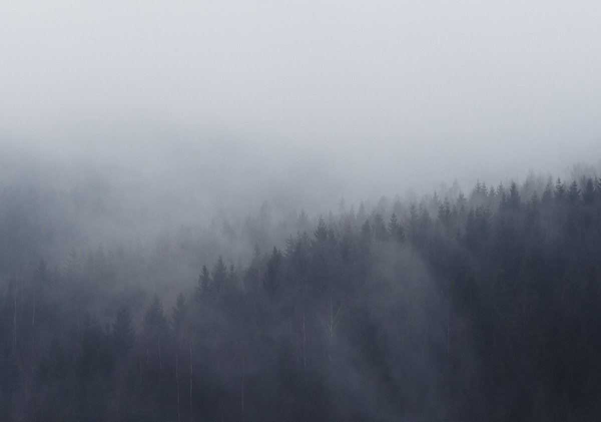 The beauty of a foggy morning day. #nature #outdoors #photography #Germany #landscapephotography