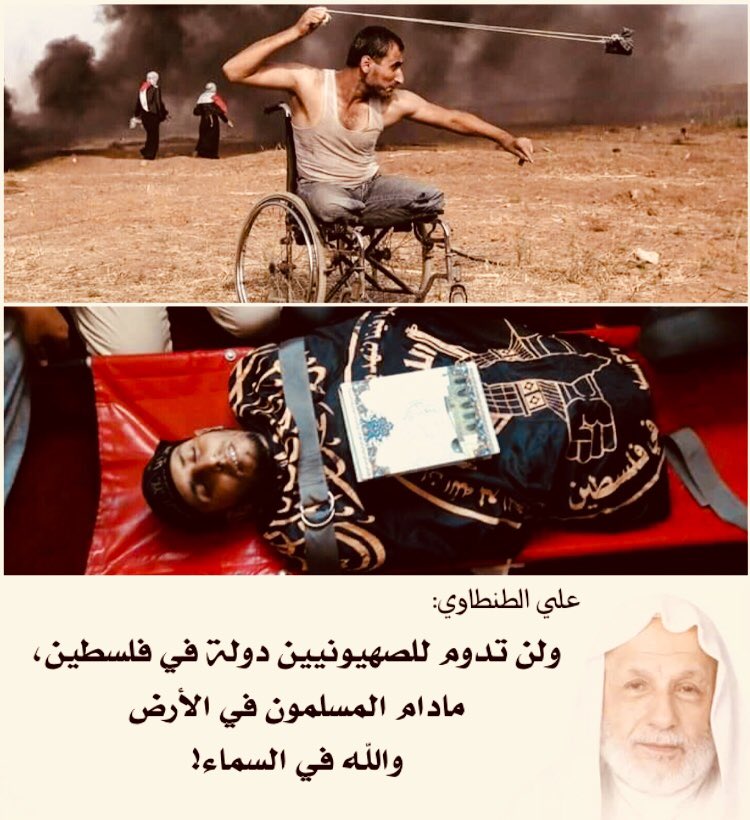 سيف الجرباء tweet media