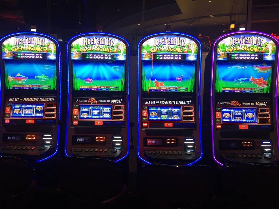 Reel Em In Slot Game Reel Em In Slot Game