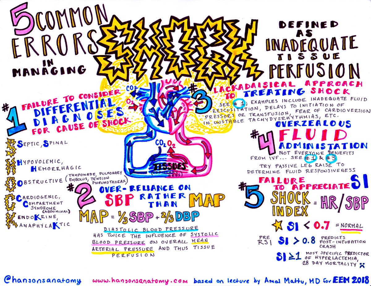 EssentialsofEM's tweet photo. 5 common errors in managing shock. @HansonsAnatomy #EEM2018 https://t.co/aO8mWAPrbp