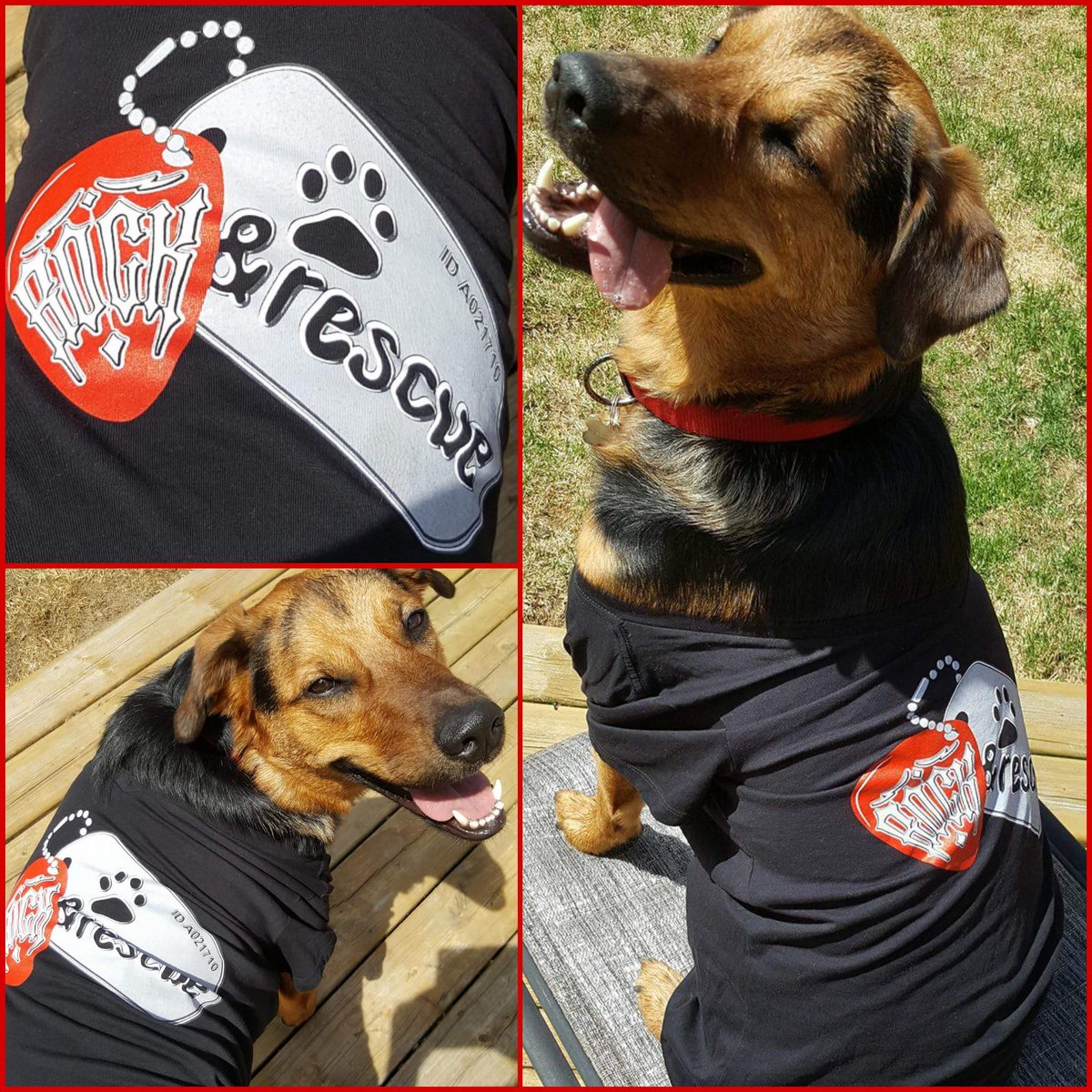 The next person to buy their Rock &amp; Rescue Ottawa tickets for the #rescueeventoftheyear will win their very own R&amp;R #tshirt!!  
*please note this is a shirt for people, Brew was just kind enough to model for us*
