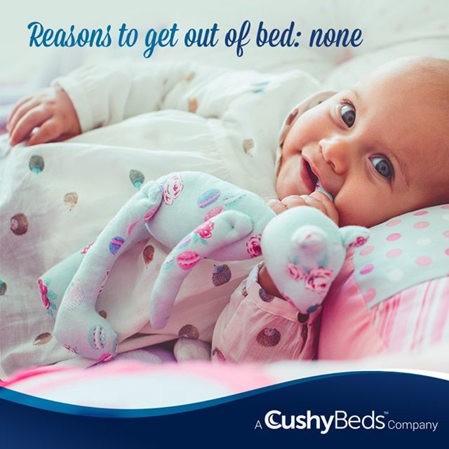 cushybeds's tweet photo. Reasons to get out of bed: none.
.
.
.
#cushybeds #sleepytime #healthcare #refreshed #bedtime #freshbedsheets #healthlife #fit #mattresses #healthylifestyle https://t.co/O1Zq9dEXF7 https://t.co/NMgnjNuXnP