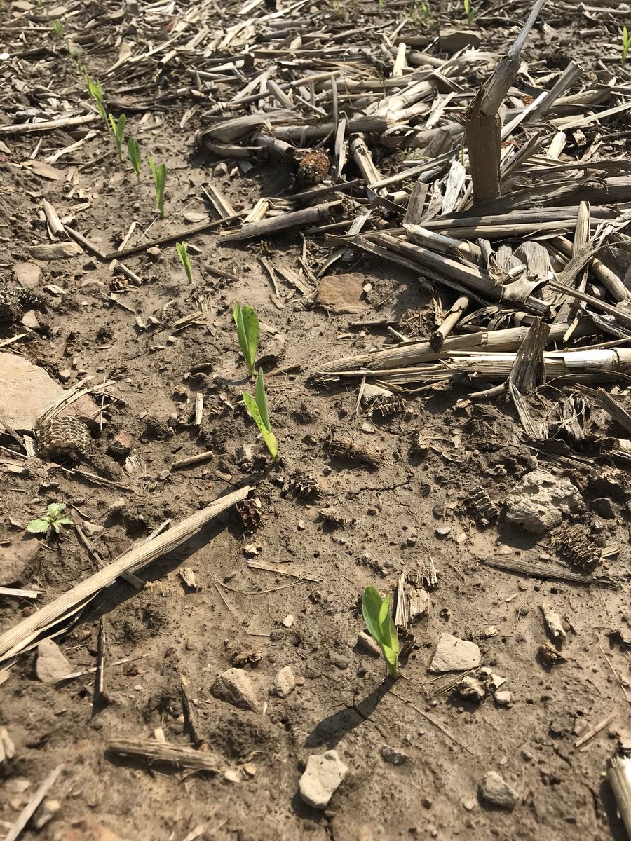 Derrick Bender tweet media