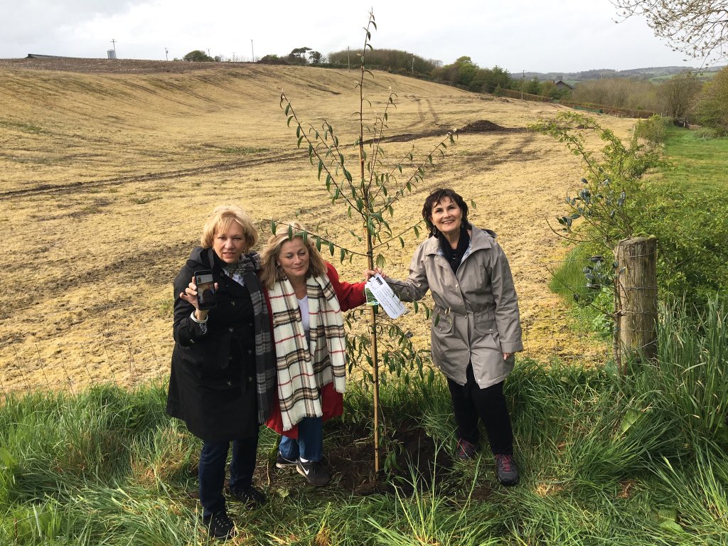 We had a great experience this week, helping some visitors to plant a memorial tree at Dunhill #Waterford #AncestryHour