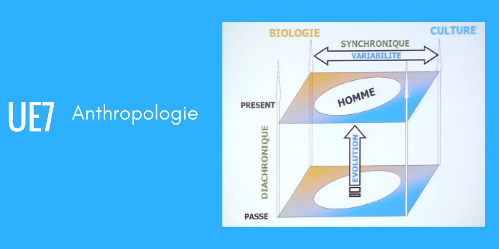 prepa1617's tweet photo. #PACES UE7-1 #Anthropologie #évolution
#success #victoire #schema #TeamWinner 
#Motivation #reussite https://t.co/hEzB4KYM8m
