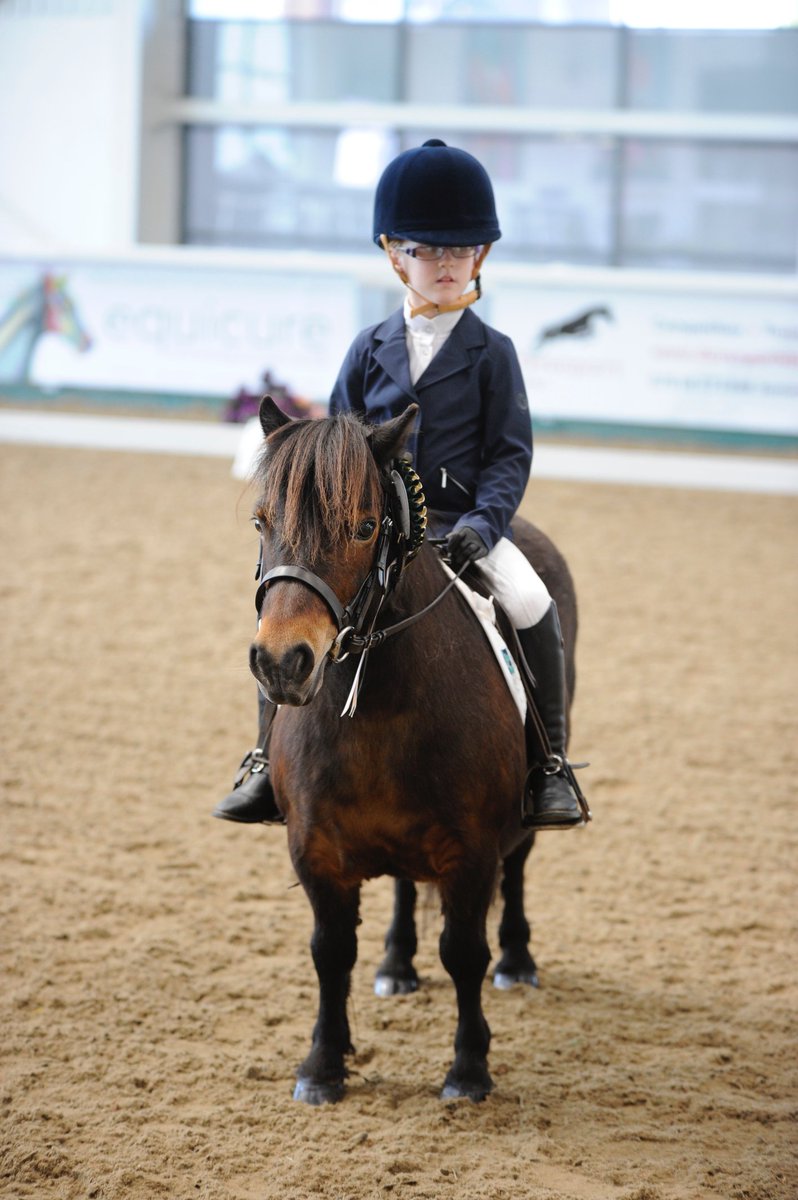 lora10ra's tweet photo. @nsbits @lora10ra and @shetlandfun hoping to be June's rider of the month with these cuties! @nsbits https://t.co/I6U7OjQeNI