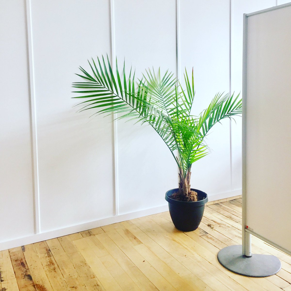 TammySabourin's tweet image. Discussing rebranding today as visioning piece for @tsahope. Can textures/colours/fonts be part of ministry? Absolutely when they help tell Hope's story &amp;amp; invite others to be part of our unique Salvation Army faith community. God's in the details, always. #NewBuilding #SameHope