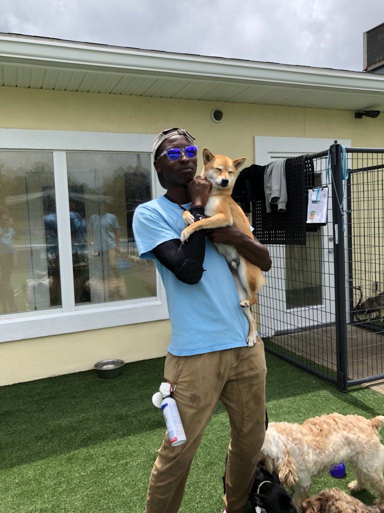 PPRJIA's tweet image. Meet Kevin and Gino, our wonderful playtime associates! They bring so much spunk and energy into our play groups. They always make sure the dogs are having a lot of fun and are extra safe! We couldn’t thank them enough for everything #teammember #playtime