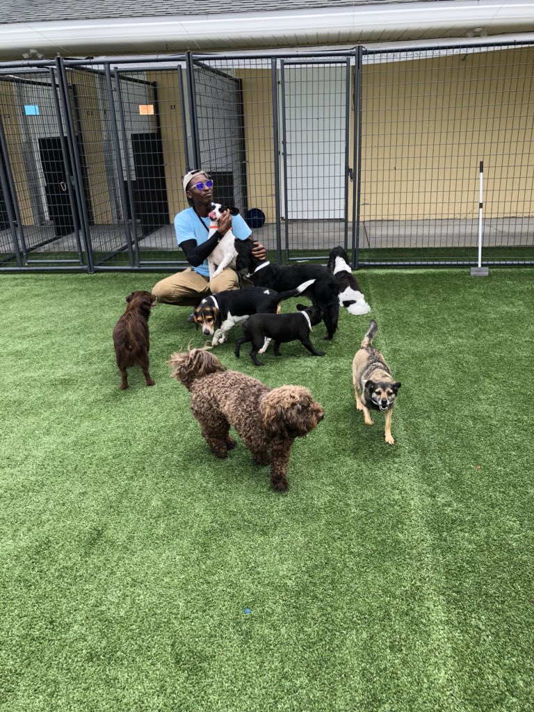 PPRJIA's tweet image. Meet Kevin and Gino, our wonderful playtime associates! They bring so much spunk and energy into our play groups. They always make sure the dogs are having a lot of fun and are extra safe! We couldn’t thank them enough for everything #teammember #playtime