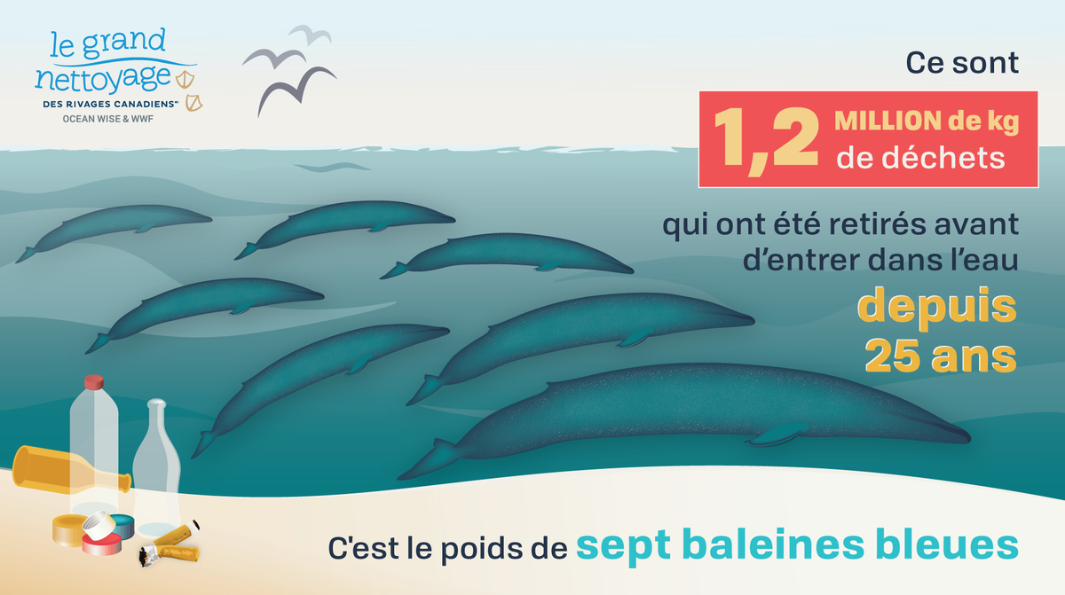 Nous célébrons cette année la 25e saison du #GrandNettoyage des rivages canadiens! Et depuis, vous avez aidé à retirer plus de 1,2 million de kg de déchets avant qu'ils n'atteignent les rivières, les lacs et les océans! 💪♻️