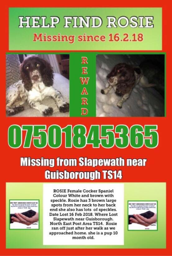rosiedoc666's tweet photo. #spanieltheftawareness
🖤#comehomeToby #cockerspaniel blk #Guisborough #TS14 10/2 SPOTTED #GreatAyton 19/2
🖤#findstolenLilly #cockerspaniel golden #Worcestershire #WR11 #stolen 25/11/17
🖤#helpfindRosie #cockerspaniel brown&white #Slapewath 16/2
https://t.co/ClOqAgTIKt https://t.co/g8OmYJRo70