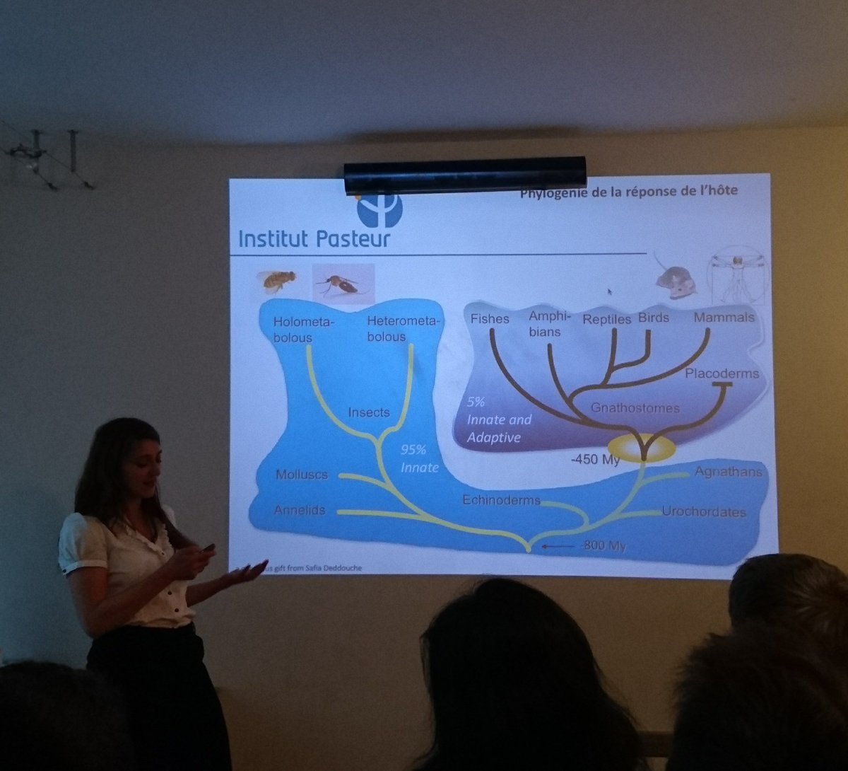 Entraîner notre système immunitaire #pint18 #pint18FR <a href="/JessicaQuintin/">IFI_Unit@pasteur</a>