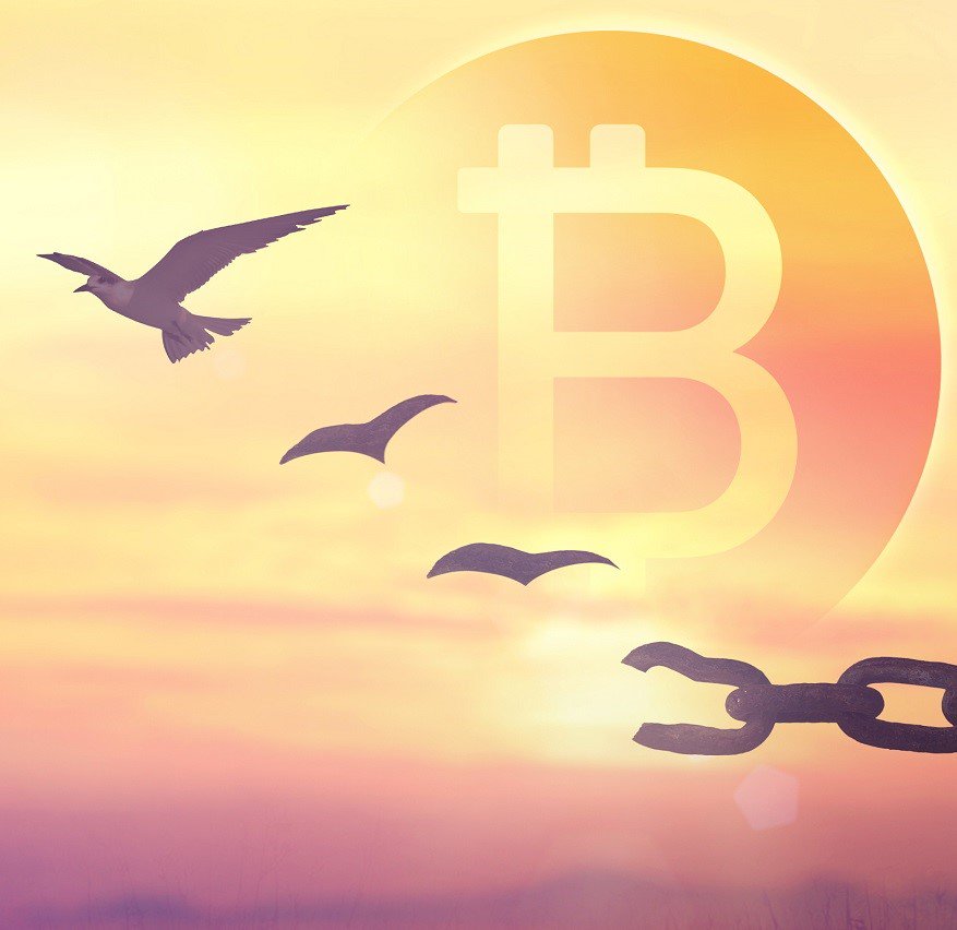 GazetaBitcoin's tweet photo. #TheSatoshiRevolution - Aici nu există niciun stat $Crypto
https://t.co/fDh2puCUGW
#stiri #bitcoin #CryptoNews #GazetaBitcoin https://t.co/3qmPViw5zC