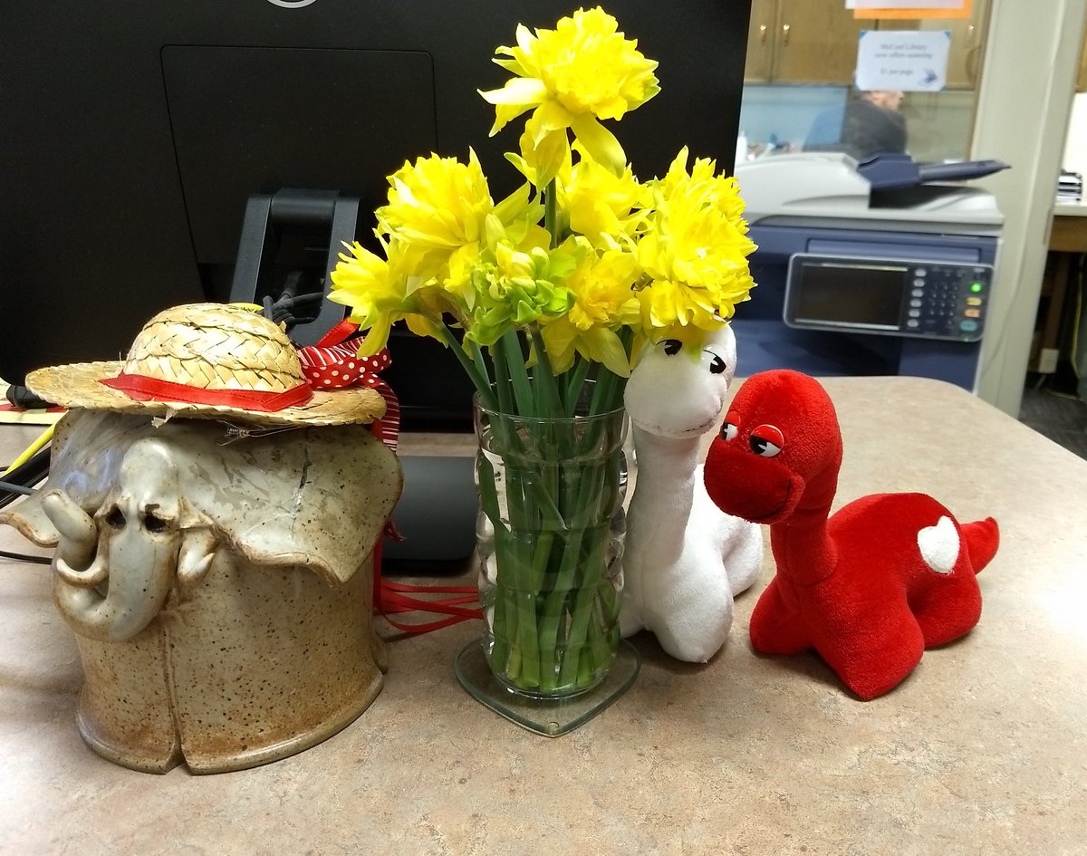 McCordLibrary's tweet image. Welcome our new library mascots!
George and Gracie Dewey!
Thank you to all the patrons who came up with names, especially Ms. Veit for her suggestion.
Look forward to future photos of these two around the library
#georgeandgraciemml #libarylife #librarymascots