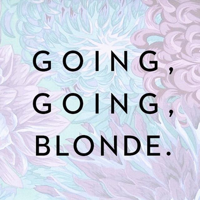 canradbeauty's tweet image. ✨ 👸🏼 💛  Who's going blonde for the summer?? Comment below if you're still contemplating 👇🏼 .
.
.
#colorproof #colorproofhair #colorproofstylist #colorproofinspired #hairgoals #hairinspiration #veganhaircare #crueltyfree #parabenfree #phthalatefre… ift.tt/2Gj397o