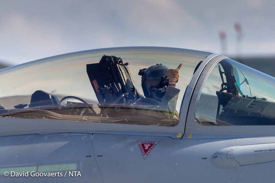 NatoTigers's tweet image. It's Tiger time #NTM2018 #HTBH